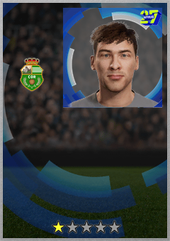 ディエゴ ペルカン