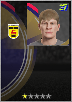 ダーン フィッセル
